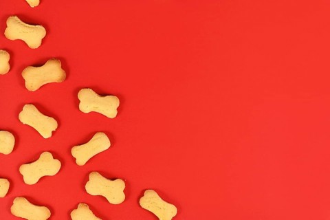 Bone shaped dog biscuits in corner of red background with empty copy space