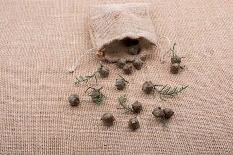 Plant pods