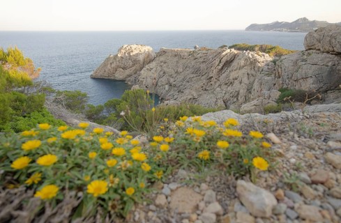 Cala Ratjada