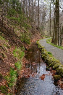 Path through the Radau Valley