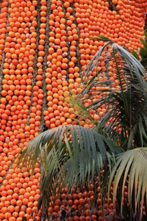 Oranges