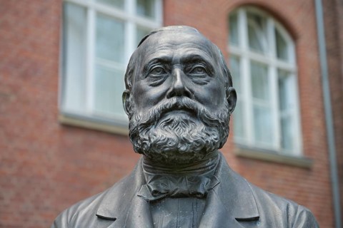 Bust