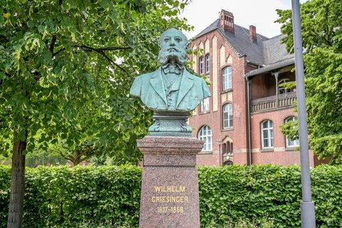 Bust