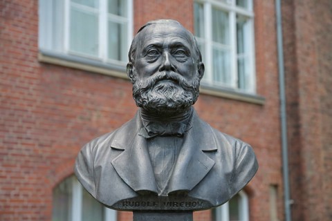 Bust