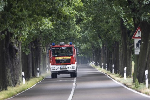 Avenue of trees with fire engine