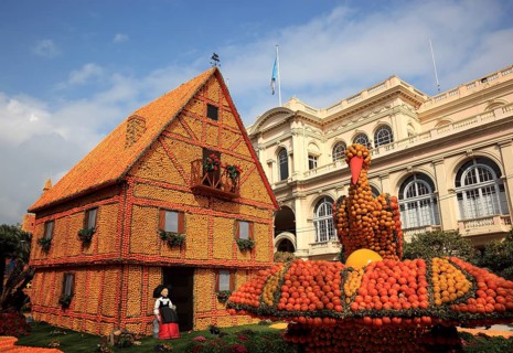 Half-timbered house and stork's nest with stork