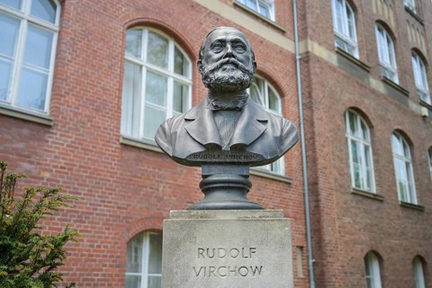 Bust