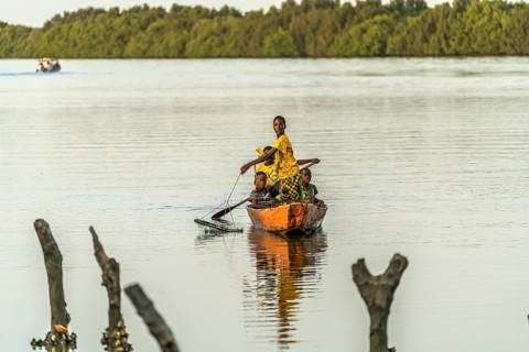 Children fishing from a pirogue on the gambia River
