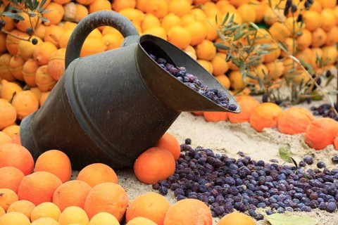 Pitcher of olives surrounded by lemons and oranges