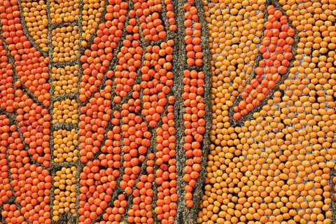 Oranges