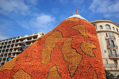 Motifs of citrus fruits