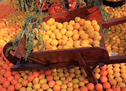 Wheelbarrow filled with oranges and lemons