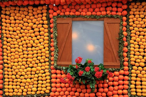 Replica of a half-timbered house with lemons and oranges