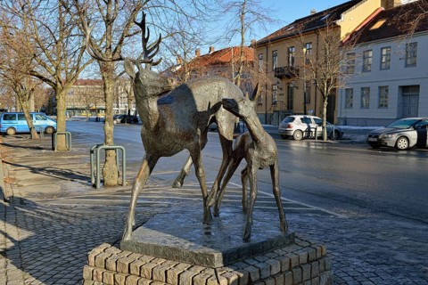 Deer