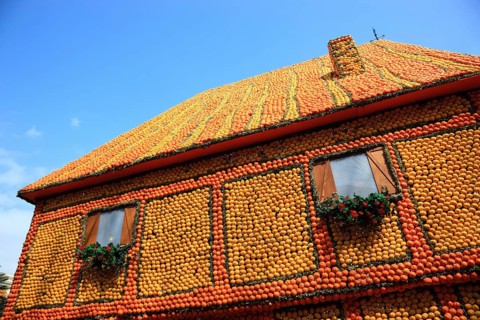 Half-timbered house motifs of citrus fruits