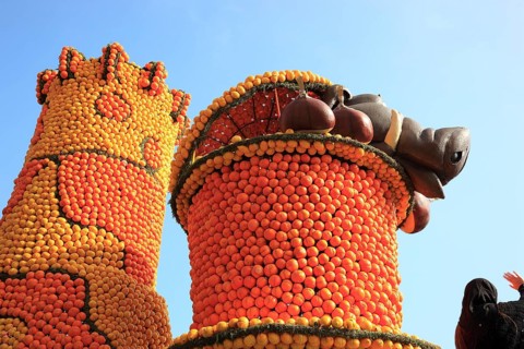 Sculptures made of citrus fruits