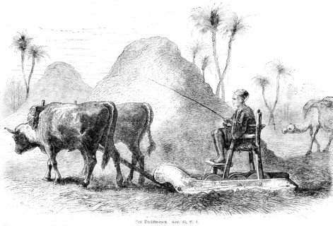 The threshing wagon