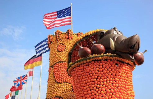 Sculptures made of citrus fruits