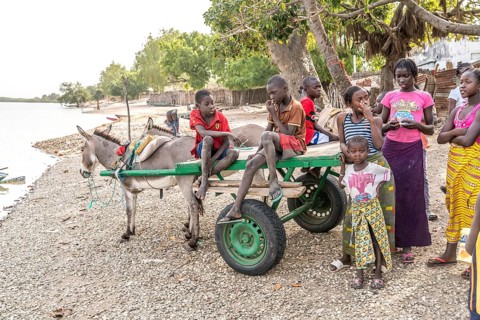 Children with donkey carts on the riverbank
