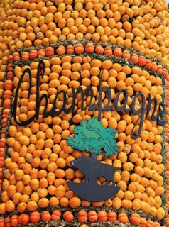 Representation of the Champagne region with lemons and oranges