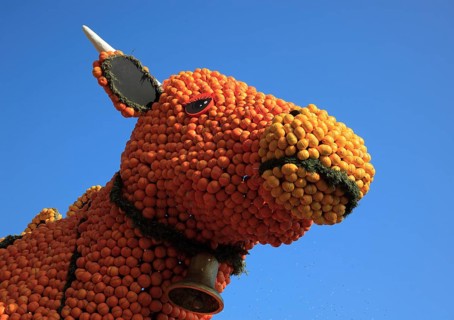 Cow