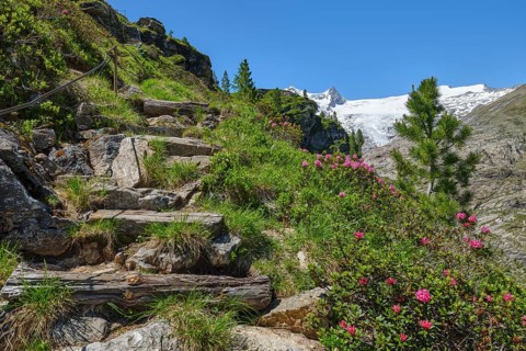 Hiking trail in Innergschloess