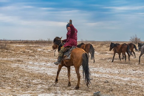 Horse herders near Aralsk
