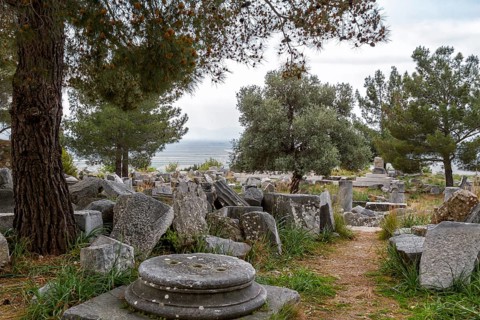 Priene excavation site