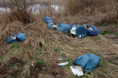 Illegally dumped rubbish in plastic bags