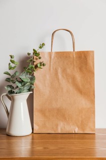 Paper bag plant
