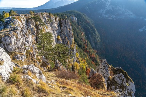 View from the lookout peak Curevac into the Tara Gorge