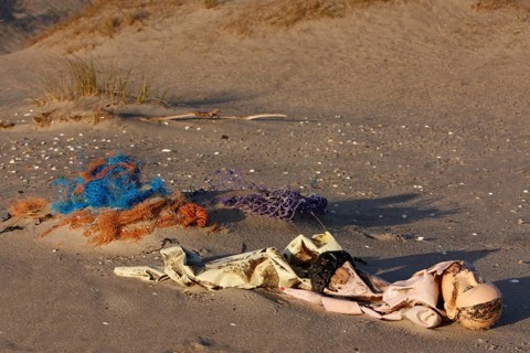 Systematic recording of beach litter on an uninhabited island in the North Sea