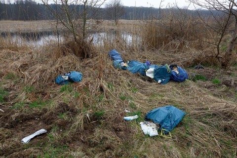 Illegally dumped rubbish in plastic bags