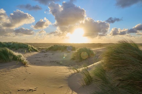 Sand dune