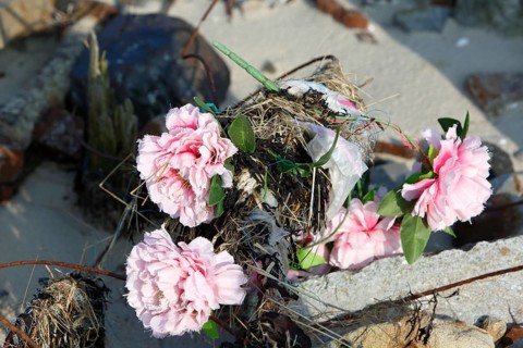 Marine litter washed up on the beach