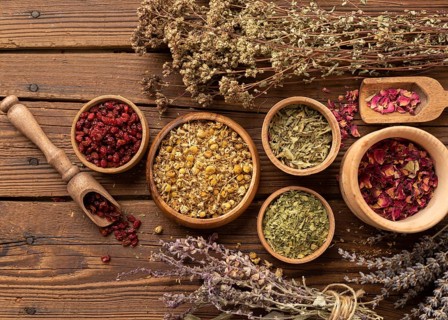 Arrangement natural various herbs top view