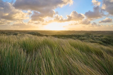 Sand dune