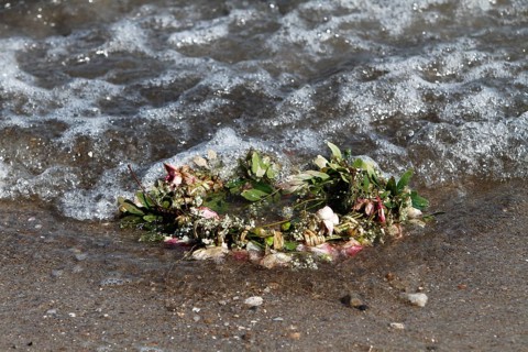 Marine litter washed up on the beach