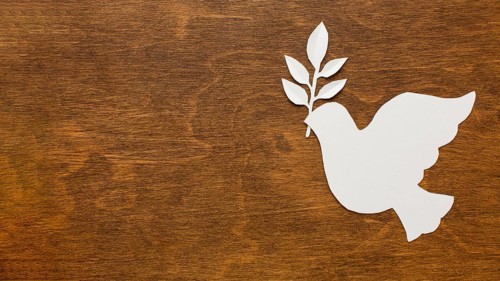 Top view paper dove wooden surface