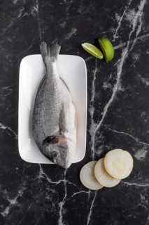 Flat lay delicious seafood assortment
