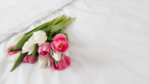 Copy space flowers bouquet