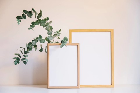 Two frames branch