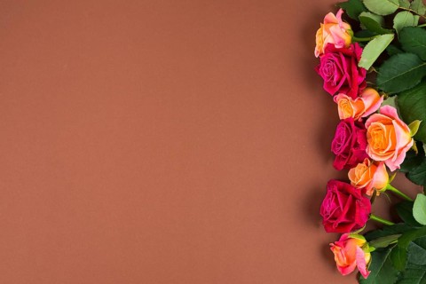 Rose flowers framing one side