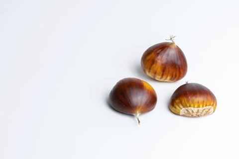 Seasonal chestnuts harvested from the field on a white background