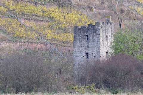Ruin