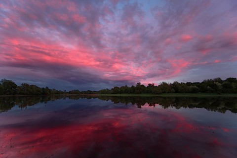Evening mood in the floodplain forest