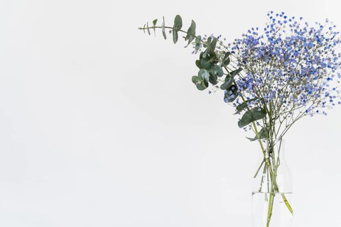 Bunch fresh twigs plants vase