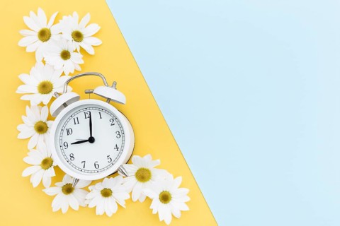 Flat lay frame with clock daisies