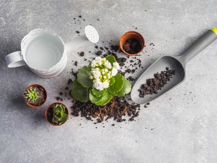 Watering can with seedling soil granite floor