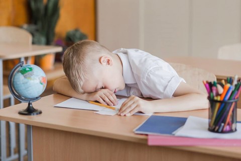 Little pupil laying table classroom
